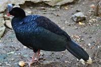 Zooanlage Cartagena (23)