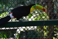 Zooanlage Cartagena (25)