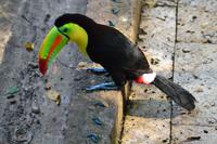 Zooanlage Cartagena (26)