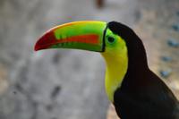 Zooanlage Cartagena (28)