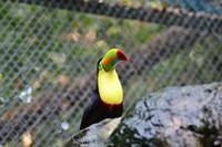 Zooanlage Cartagena (30)