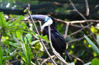 Zooanlage Cartagena (31)