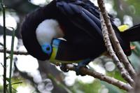 Zooanlage Cartagena (32)