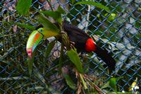 Zooanlage Cartagena (35)