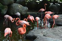 Zooanlage Cartagena (40)