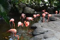 Zooanlage Cartagena (41)