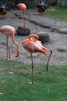 Zooanlage Cartagena (43)