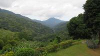 Jamaika, Blue Mountains