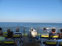 Fähre aufs Festland