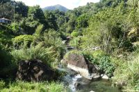 Ausflug Blue Mountains