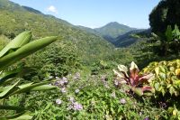 Ausflug Blue Mountains