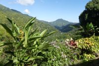 Ausflug Blue Mountains