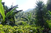 Ausflug Blue Mountains