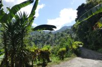 Ausflug Blue Mountains