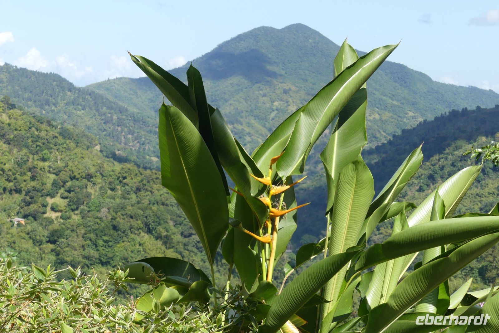 Ausflug Blue Mountains