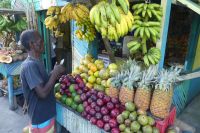 Ausflug Blue Mountains