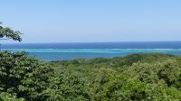 Isla Roatan, Honduras: Barriere Reef 
