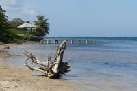 Isla Roatan, Ausflug in den Osten der Insel