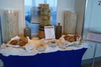 Seetag...kleiner Schiffsrundgang