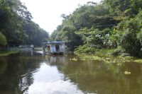 Costa Rica, Bootssafari Tortuguero Nationalpark