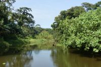Tortuguero Nationalpark