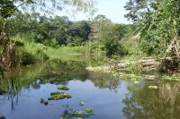 Tortuguero Nationalpark