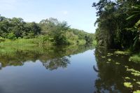 Tortuguero Nationalpark