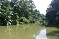 Tortuguero Nationalpark