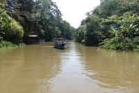Bootsfahrt im Tortuguero Nationalpark