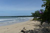 Wanderung im Nationalpark Cahuita