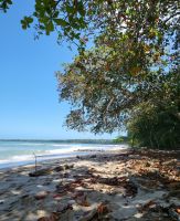 Kreuzfahrt Karibik - Spaziergang am Rande des Cahuita-Nationalparks, Costa Rica