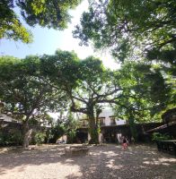 Kreuzfahrt Karibik - Inquisitionspalast in Cartagena, Kolumbien