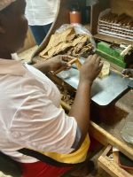 Zigarrenfabrik Vegafina, Dominikanische Republik