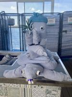 Handtuchkunst Mein Schiff 1