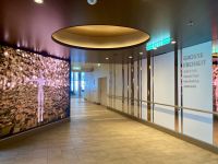 Große Freiheit, Mein Schiff 1