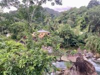 Hängebrücke nahe Blue Mountains, Ochos Rios, Jamaika