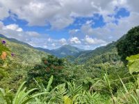 Blue Mountains, Ochos Rios, Jamaika