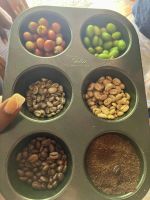 Kaffeeherstellung Blue Mountains, Ochos Rios, Jamaika