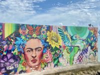 Hafen Costa Maya, Mexiko