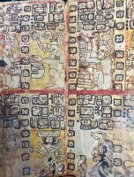 Mayaschrift, Chacchoben, Costa Maya, Mexiko