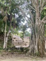 Chacchoben, Costa Maya, Mexiko