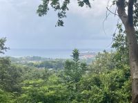 Mayan Eden Eco Park, Roatan, Honduras