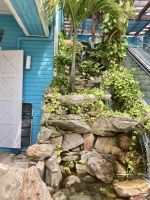 Hafen, Roatan, Honduras