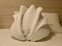 Deckenkunst, Kabine, Mein Schiff 1