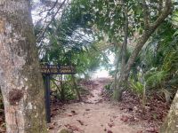 Spaziergang durch den Cahuita Nationalpark, Puerto Limon, Costa Rica