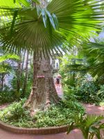 Altstadt, Cartagena, Kolumbien