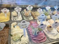 Eisbar, Mein Schiff 1