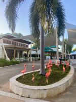 Hafen La Romana, Dominikanische Republik