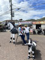 003 Schausteller Matagalpa