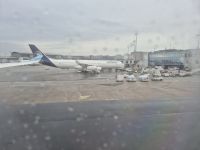 Bei dem Wetter nichts wie weg...